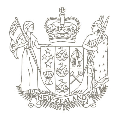 Government icon
