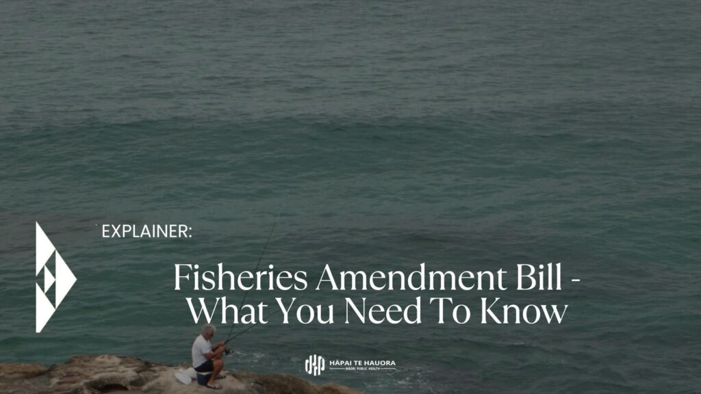 Fisheries Amendment Bill  What You Need To Know